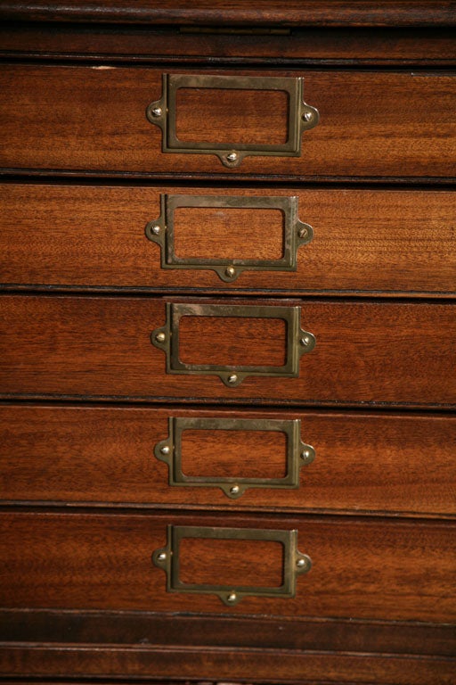 A 10 drawer map or folio chest 1
