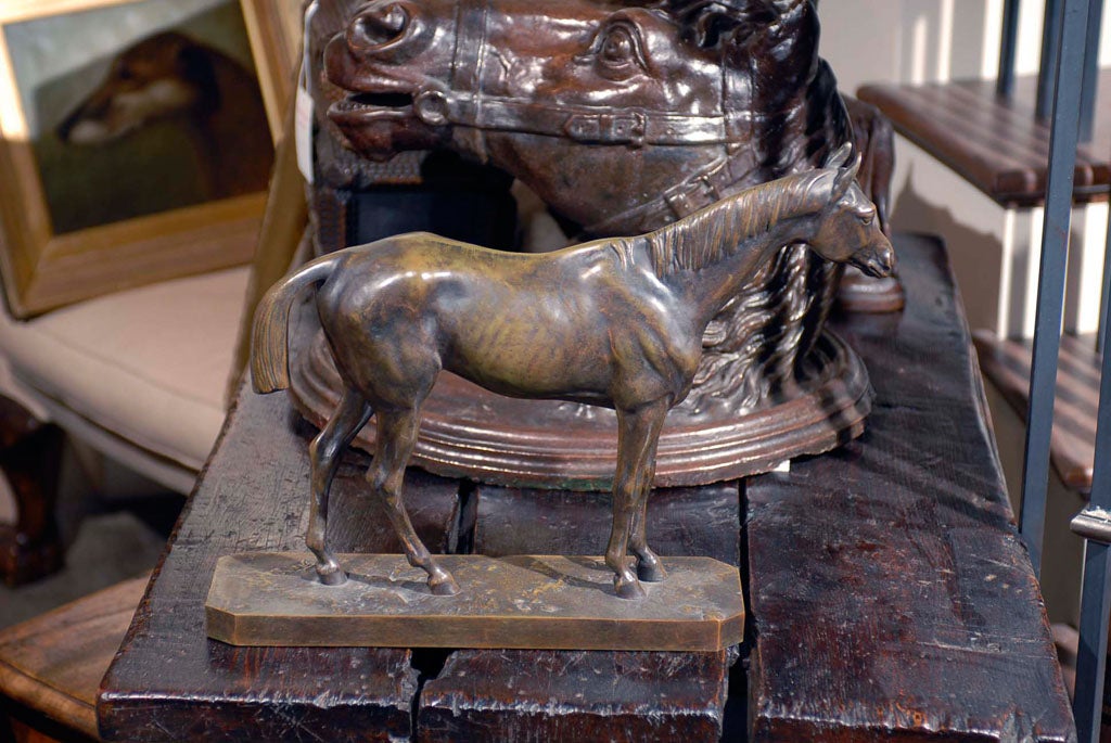 French Bronze Horse Sculpture Signed Vidal from the 19th Century 1