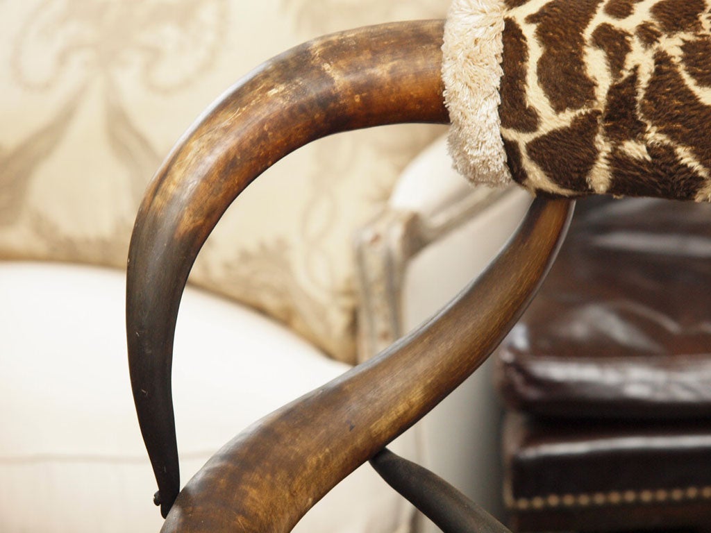 19th Century., Horn Chair. For Sale 3