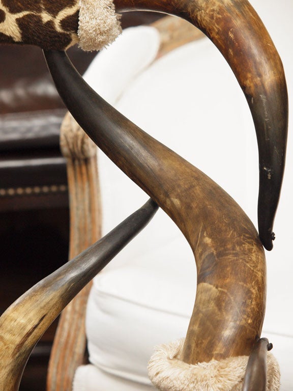 19th Century., Horn Chair. For Sale 4