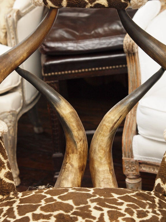 19th Century., Horn Chair. For Sale 5