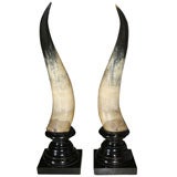 Pair of Anglo Indian Ceremonial Horns