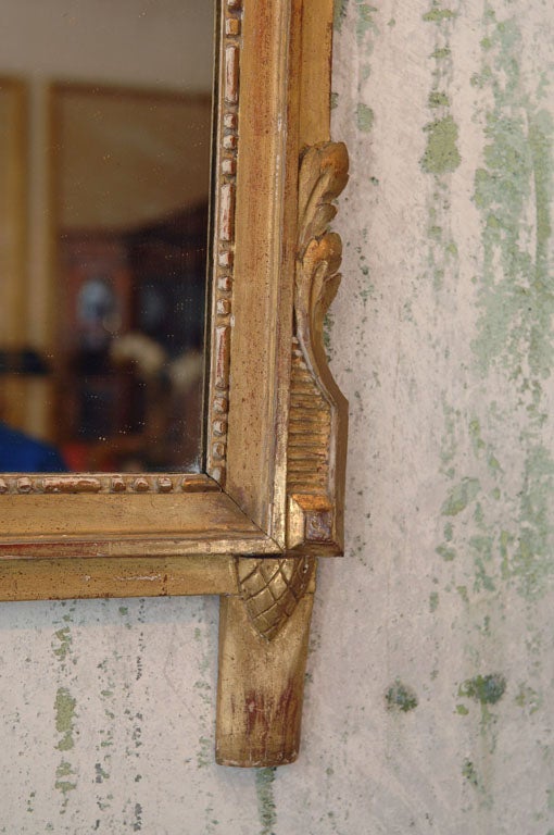Louis XVI Style Giltwood Mirror 2