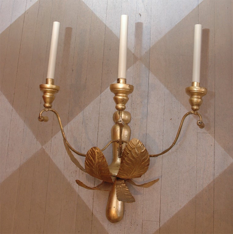 French water gilt gold sconces having six large tole acanthus leafs mounted on wood with three large scrolled tole arms with candle lights under which hangs a wooden gilt tassel.