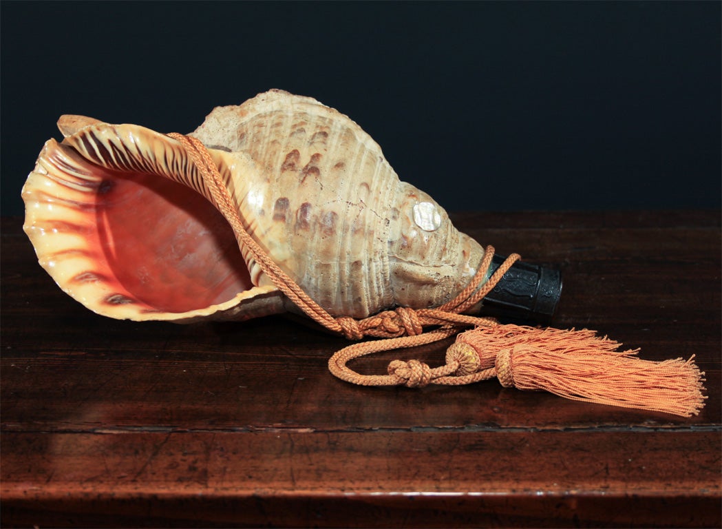 Japanese conch shell trumpet with cast bronze mouthpiece and silk rope cord. Used to command armies by military officials in ancient India, conch shell trumpets became symbolic of the god Vishnu, who used the sound to spread terror among his