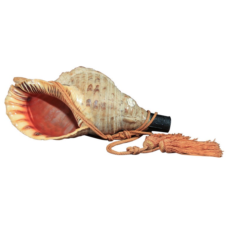 Japanese Conch Shell Trumpet