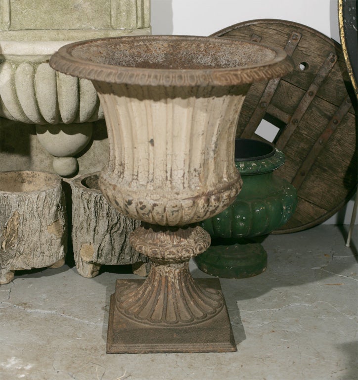 Classic Campana style cast iron garden urns with remains of the original paint.