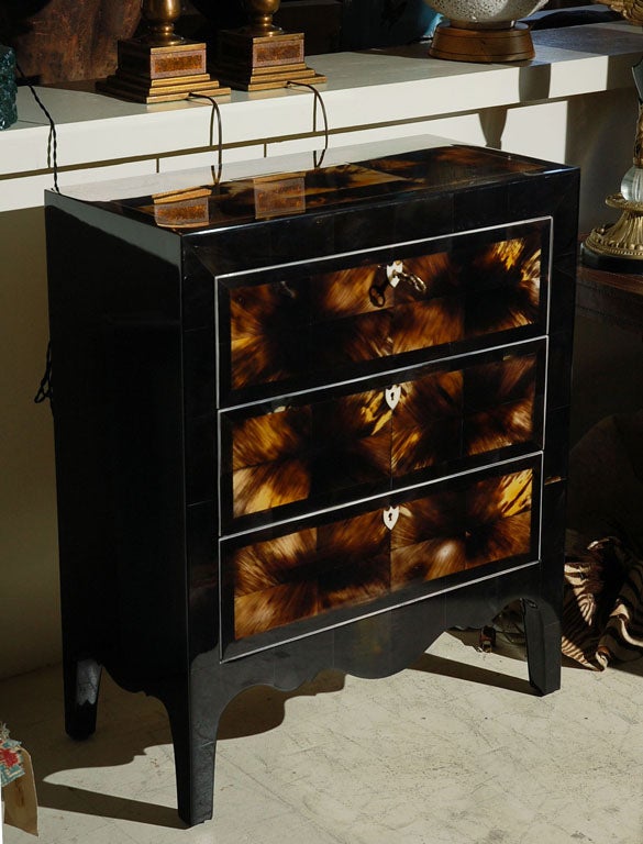 Horn with Bone Inlay Chests