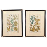 A pair of Copper plate engravings, hand colouring