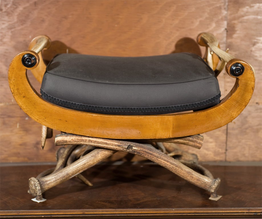 Upholstered fruitwood seat mounted on an antler base with antler sides.