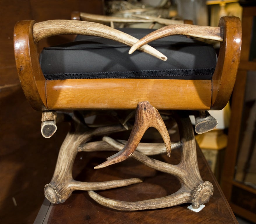 Antler Mounted Biedermier Bench For Sale 1
