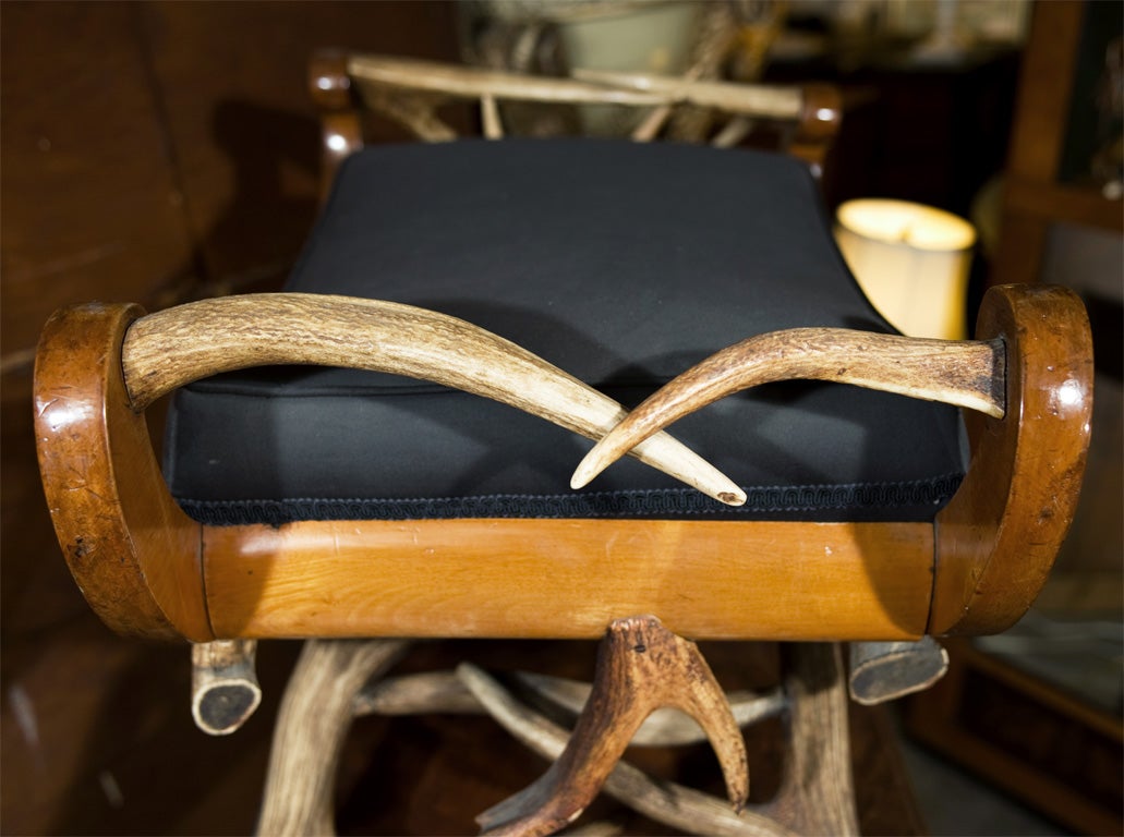 Antler Mounted Biedermier Bench For Sale 2