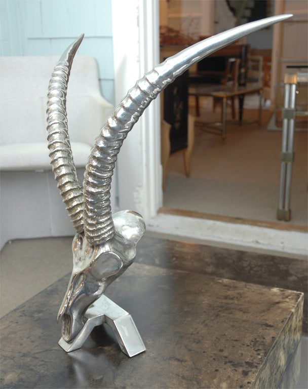 French Ibex Skull Sculpture in Silvered Bronze by Dicran For Sale