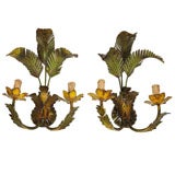 Pair of Palm Leaf Wall Sconces