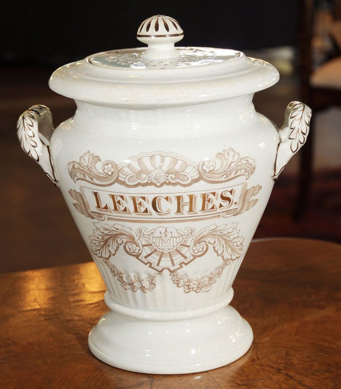 An English medical doctor's jar for leeches featuring a white glazed exterior with hand-painted burgundy decoration on the body and handles, and a pierced lid with knob pull. <br />
Bought by the owner in Scotland.<br />
The use of leeches in