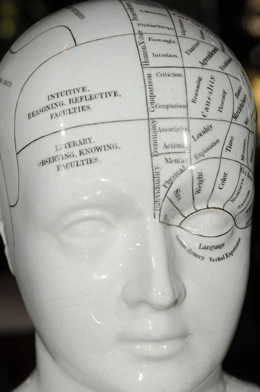 English Phrenology Bust by L.N. Fowler - A Medical Antique