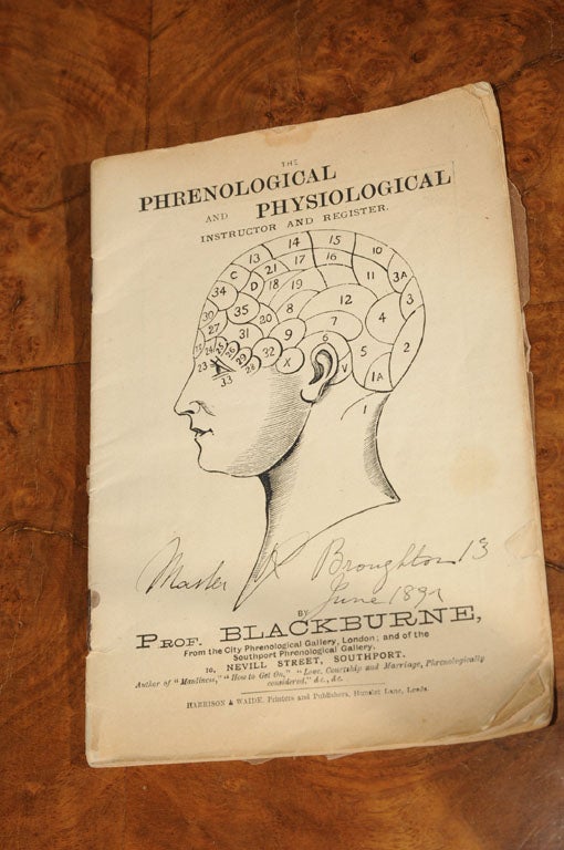 Phrenology Bust by L.N. Fowler - A Medical Antique 3