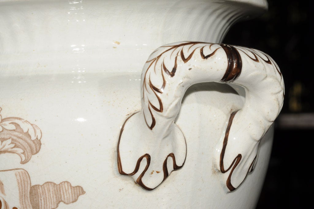 English Leeches Jar (With Pierced Lid) A Medical Rarity! at 1stDibs