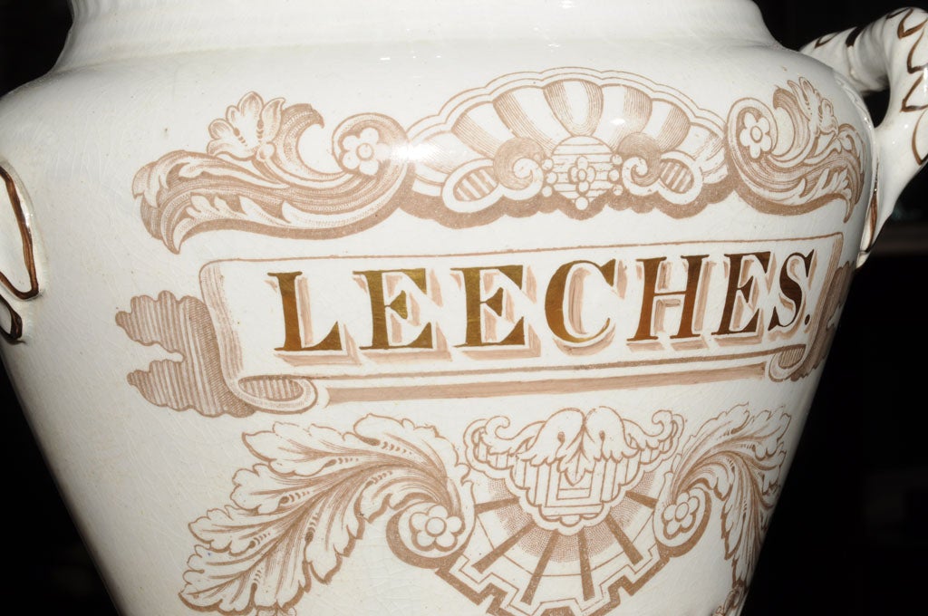 English Leeches Jar (With Pierced Lid) A Medical Rarity! at 1stDibs