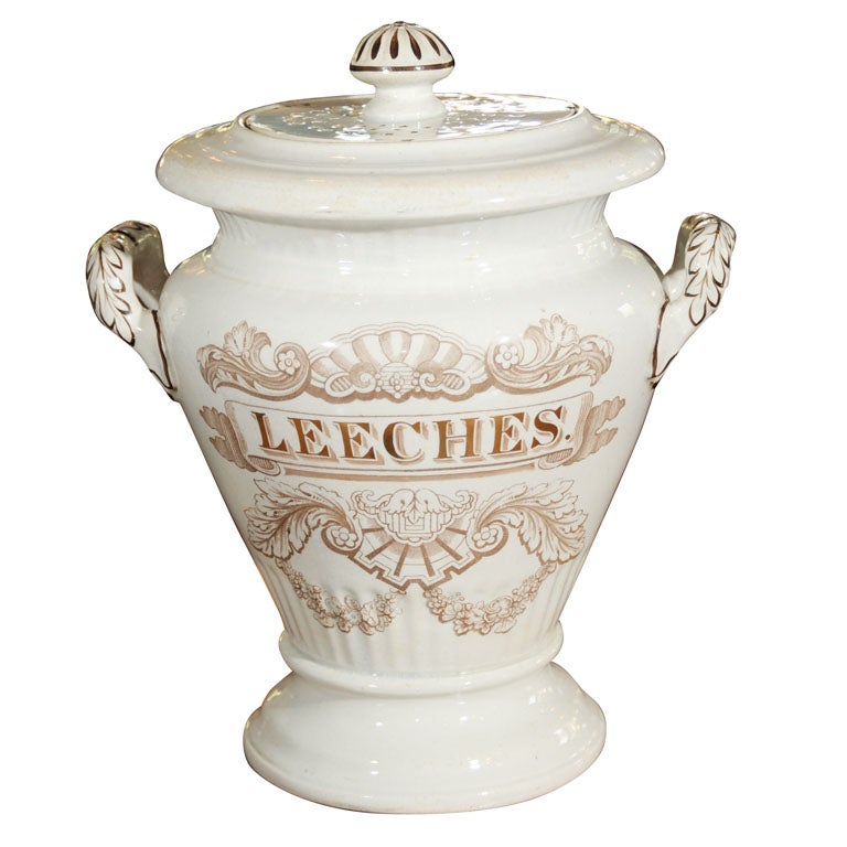 English Leeches Jar (With Pierced Lid) A Medical Rarity! at 1stDibs