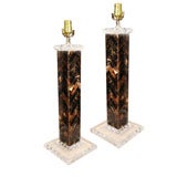 Pair of Horn and Lucite Lamps