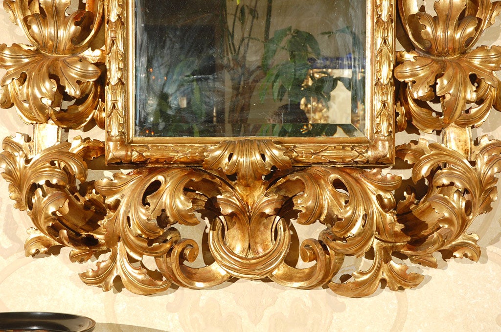 Monumental 18th Century Florentine Rococo Gilded Mirror at 1stDibs