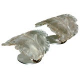 Pair of Scalloped Edge Murano Glass Sconces