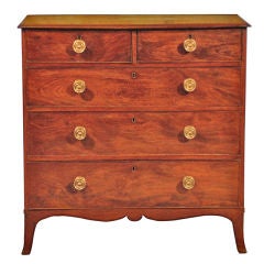 Antique 19th century English Mahogany Chest with Brass Pulls