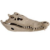 Crocodile head sculpture, ceramic