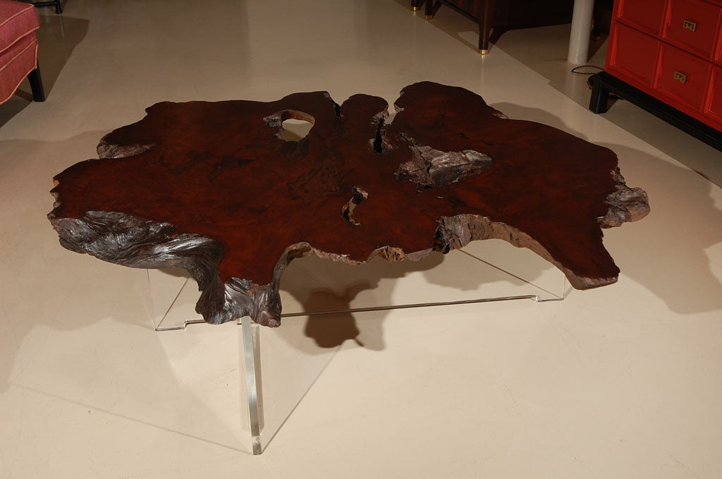 New redwood burl slab coffee table by Lawson-Fenning on a custom lucite base.  Other size and color slabs available, inquire within.