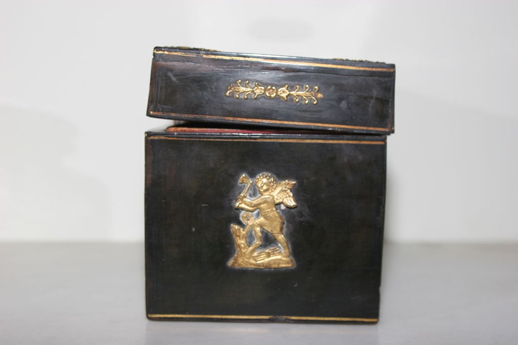 Box Black English Tea Caddy, 19th Century, England 4