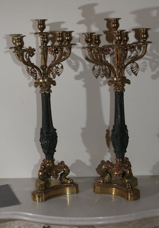 Ein Paar Kandelaber aus vergoldeter Bronze und dunkel patinierter Bronze. Kerzenhalter für sechs Kerzen. Hergestellt in der Zeit des Empire 1790-1810.