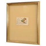 (6) Pairs Early 19th Century Hand-colored Hummingbird Engravings