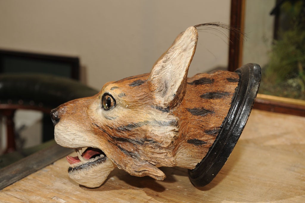 19th Century 19th c. Fine and Rare Austrian Painted Terracotta Lynx Head. For Sale