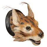 19th c. Fine and Rare Austrian Painted Terracotta Lynx Head.