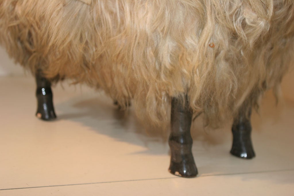 French Sheep in the Style of LaLanne