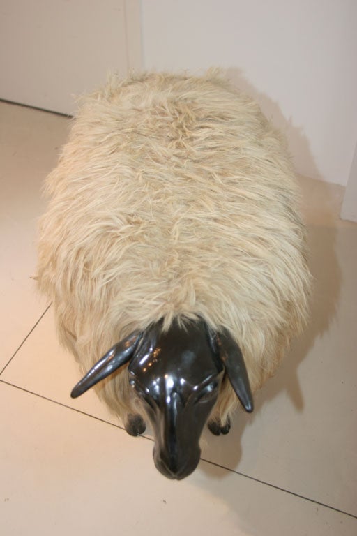 Sheep in the Style of LaLanne 1