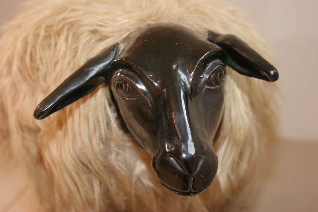 Sheep in the Style of LaLanne 2
