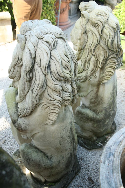 A Pair of Sitting Lions For Sale 6