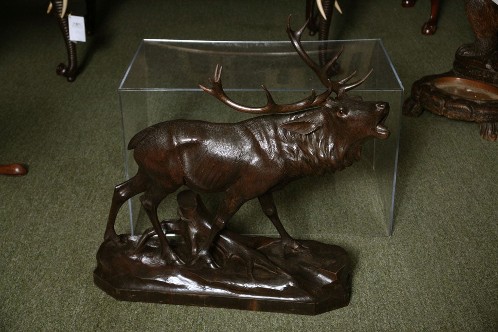 A 19th. century Swiss / Black Forest  carving of a Stag.