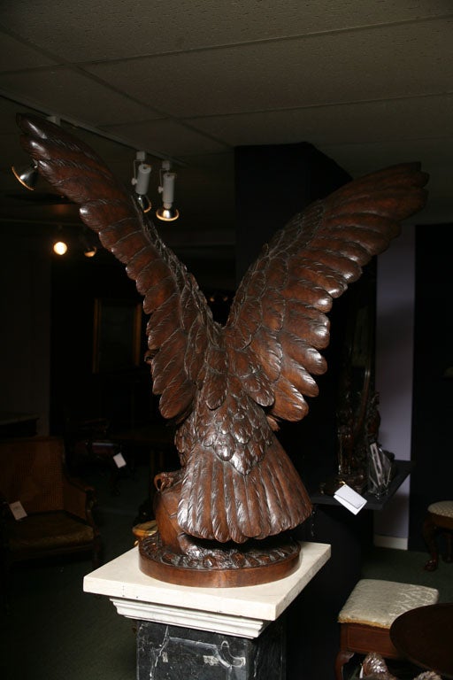 Folk Art A Magnificent Swiss Carved / Black Forest Eagle For Sale
