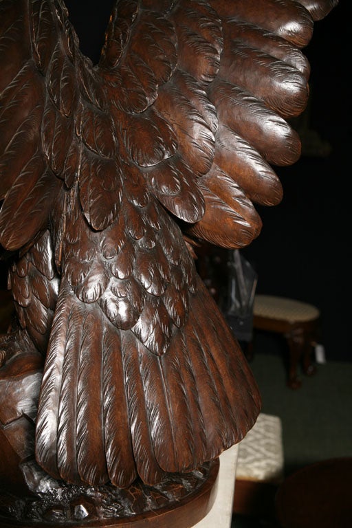 19th Century A Magnificent Swiss Carved / Black Forest Eagle For Sale