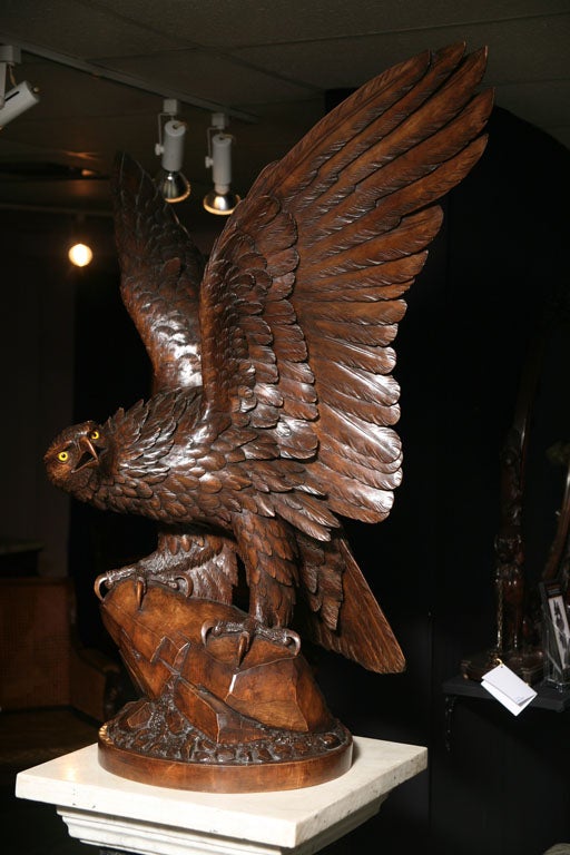 A Magnificent Swiss Carved / Black Forest Eagle, life size.