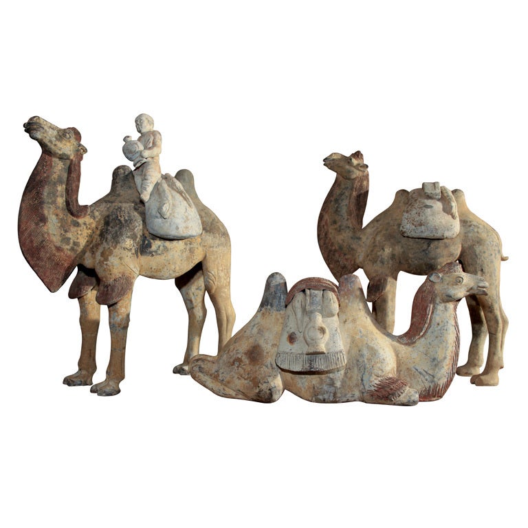 Chinese Tang Dynasty Painted Pottery Camels For Sale