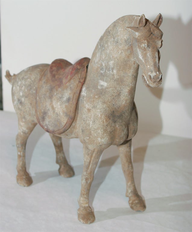 A  FIGURE OF A SADDLED HORSE. TANG DYNASTY (618-907)