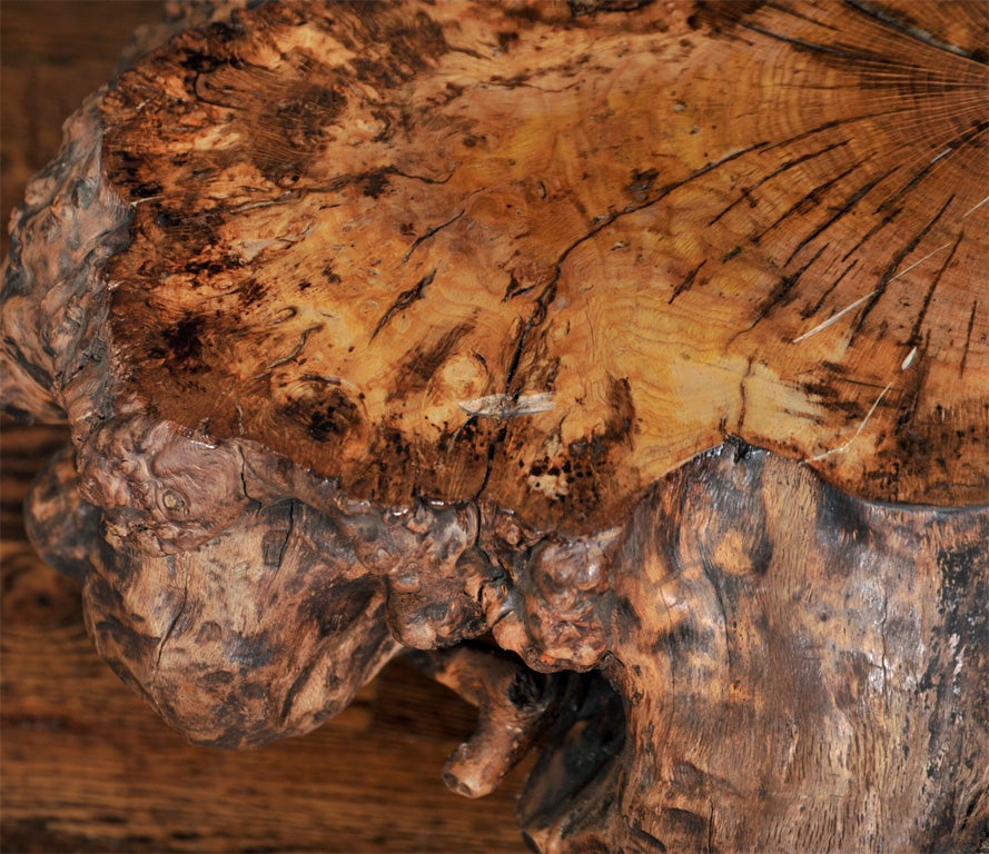 Olive Wood Tree Stump Table 3