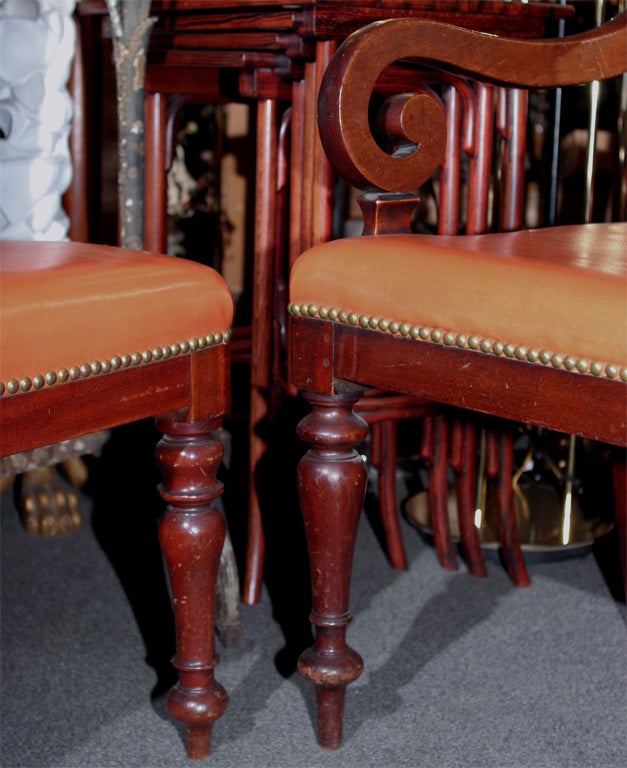 Set of Four American Mahogany Regency Chairs-One Arm,Tree Side in Orange Leather