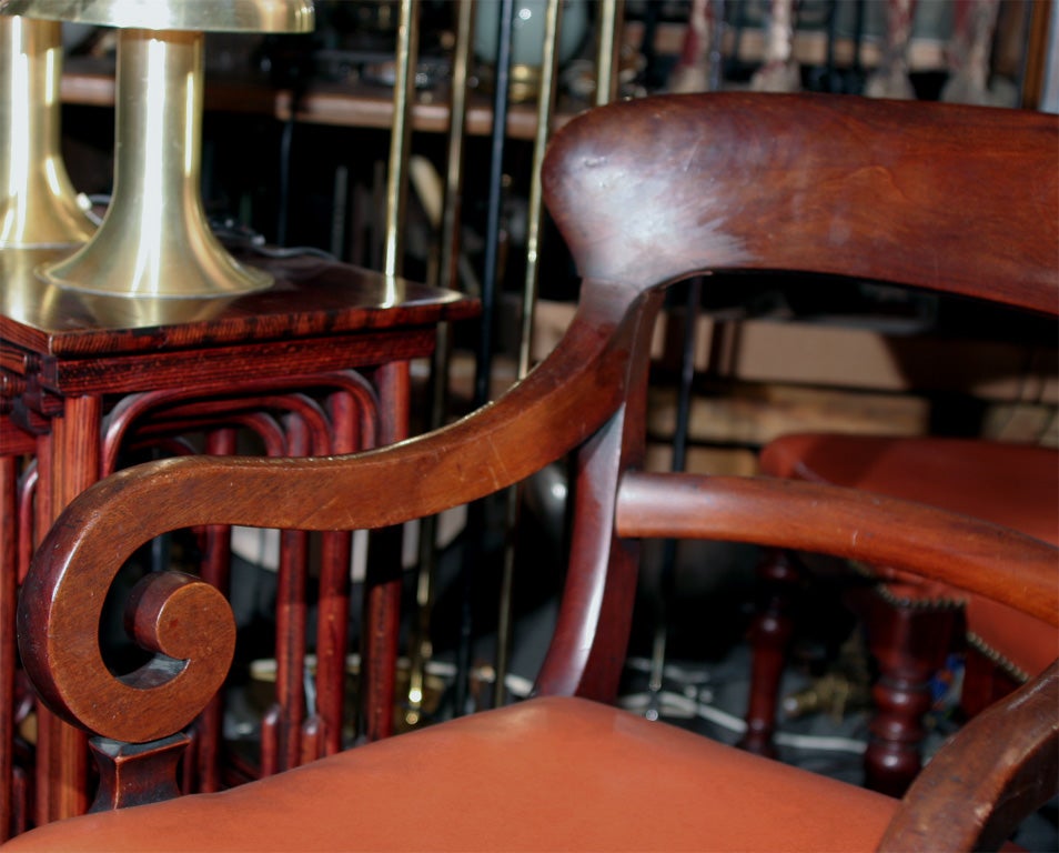 20th Century Set of Four 19thc Mahogany Regency Chairs