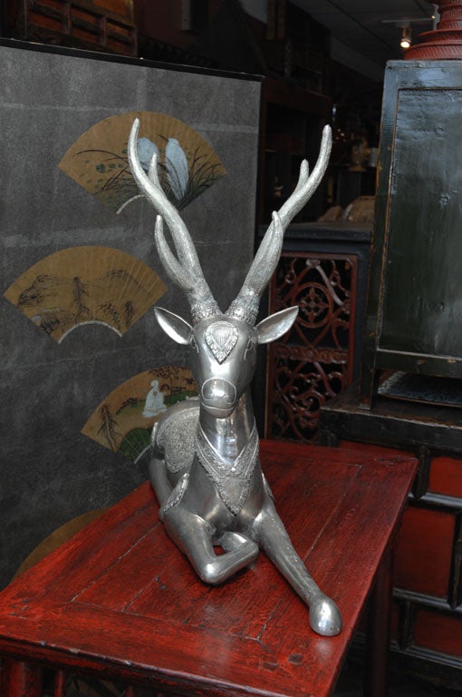 Thai Silver Deer 1