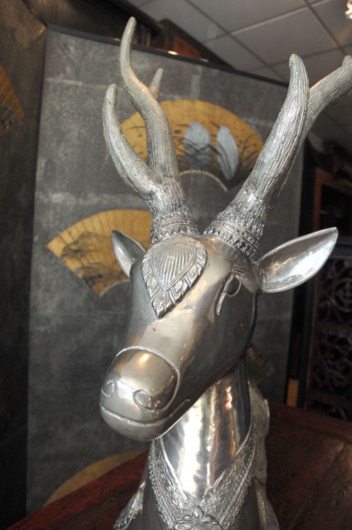 Thai Silver Deer 4